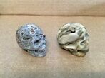 Clearance Lot: Polished Crystal Skulls - Pieces #215256-1